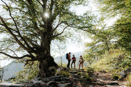 Why the Apuan Alps?
